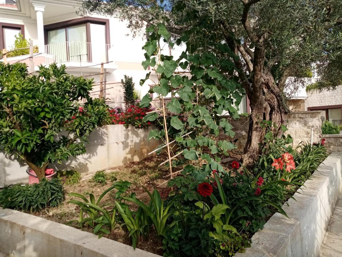 Apartmani Bosco Tivat Exterior photo