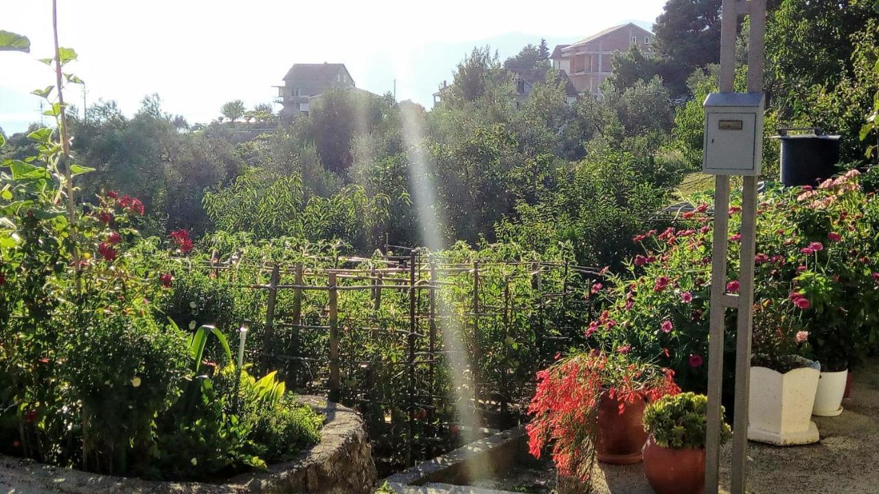 Apartmani Bosco Tivat Exterior photo