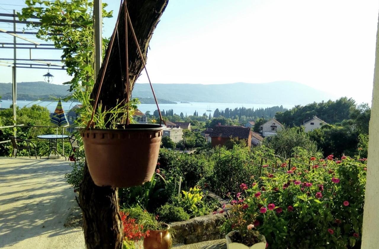 Apartmani Bosco Tivat Exterior photo