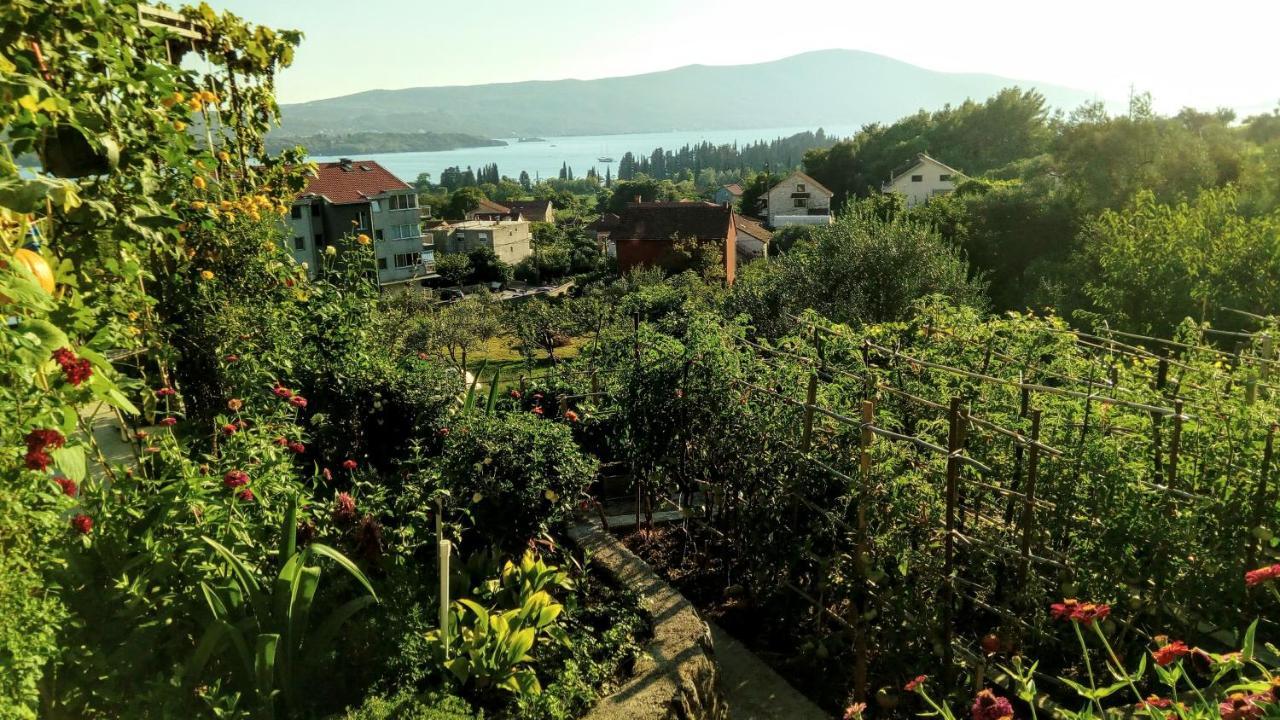 Apartmani Bosco Tivat Exterior photo