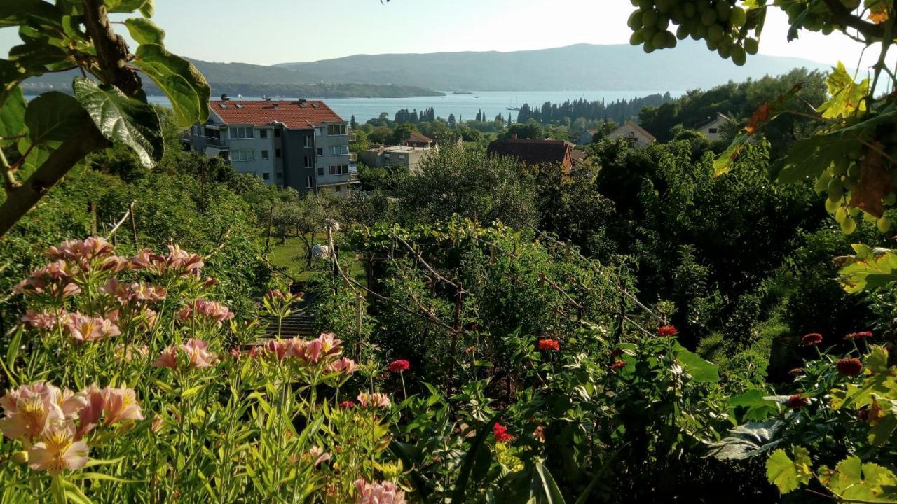 Apartmani Bosco Tivat Exterior photo