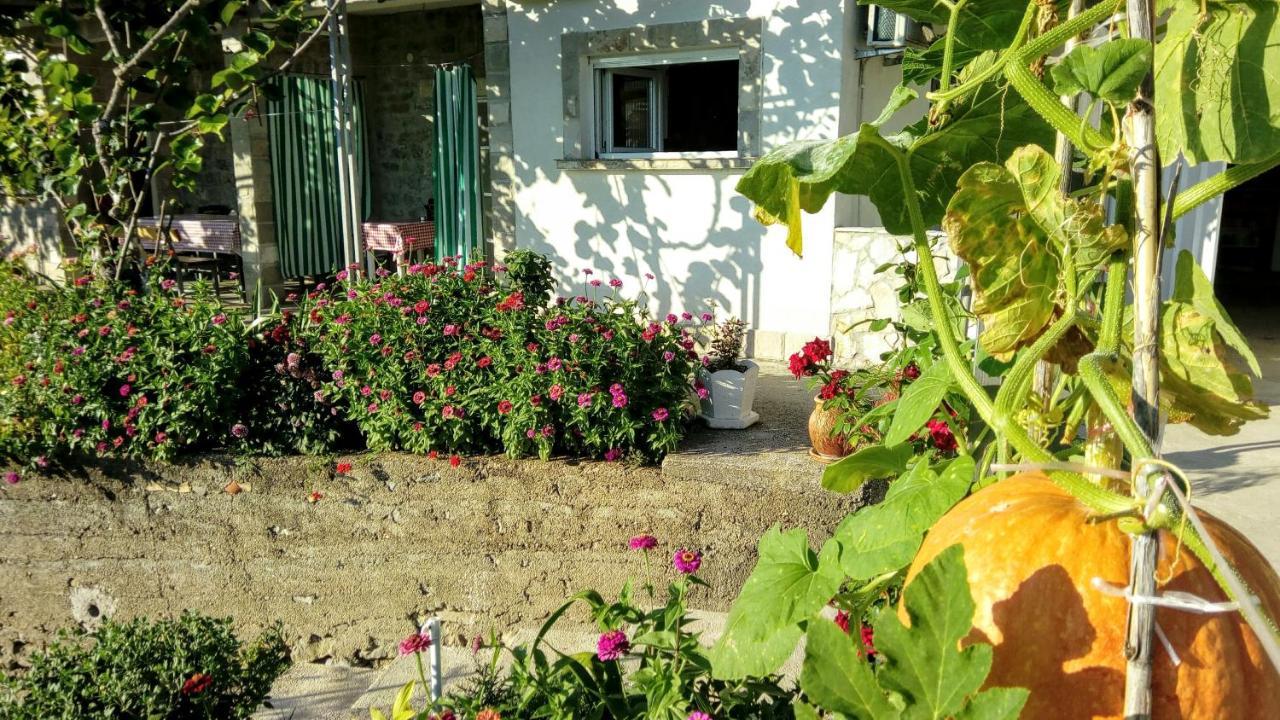 Apartmani Bosco Tivat Exterior photo